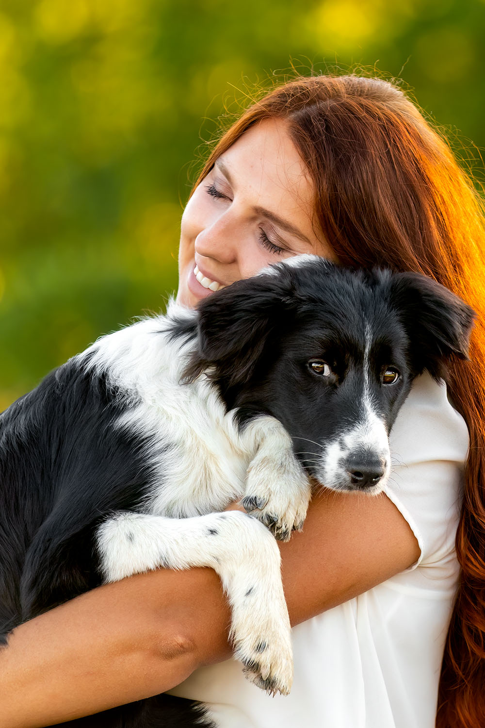 Rudelshooting_Border_Collie_Hundefoto_Aachen