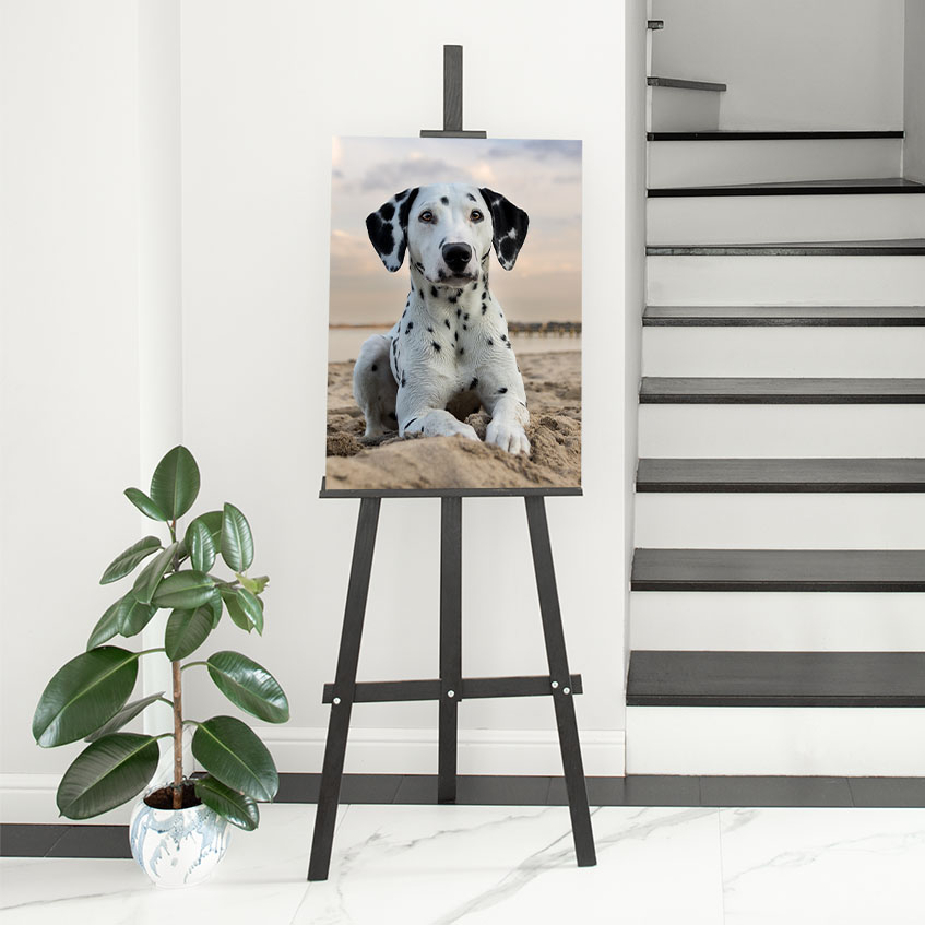 Acrylglas_Staffelei_Dalmatiner_outdoor_shooting