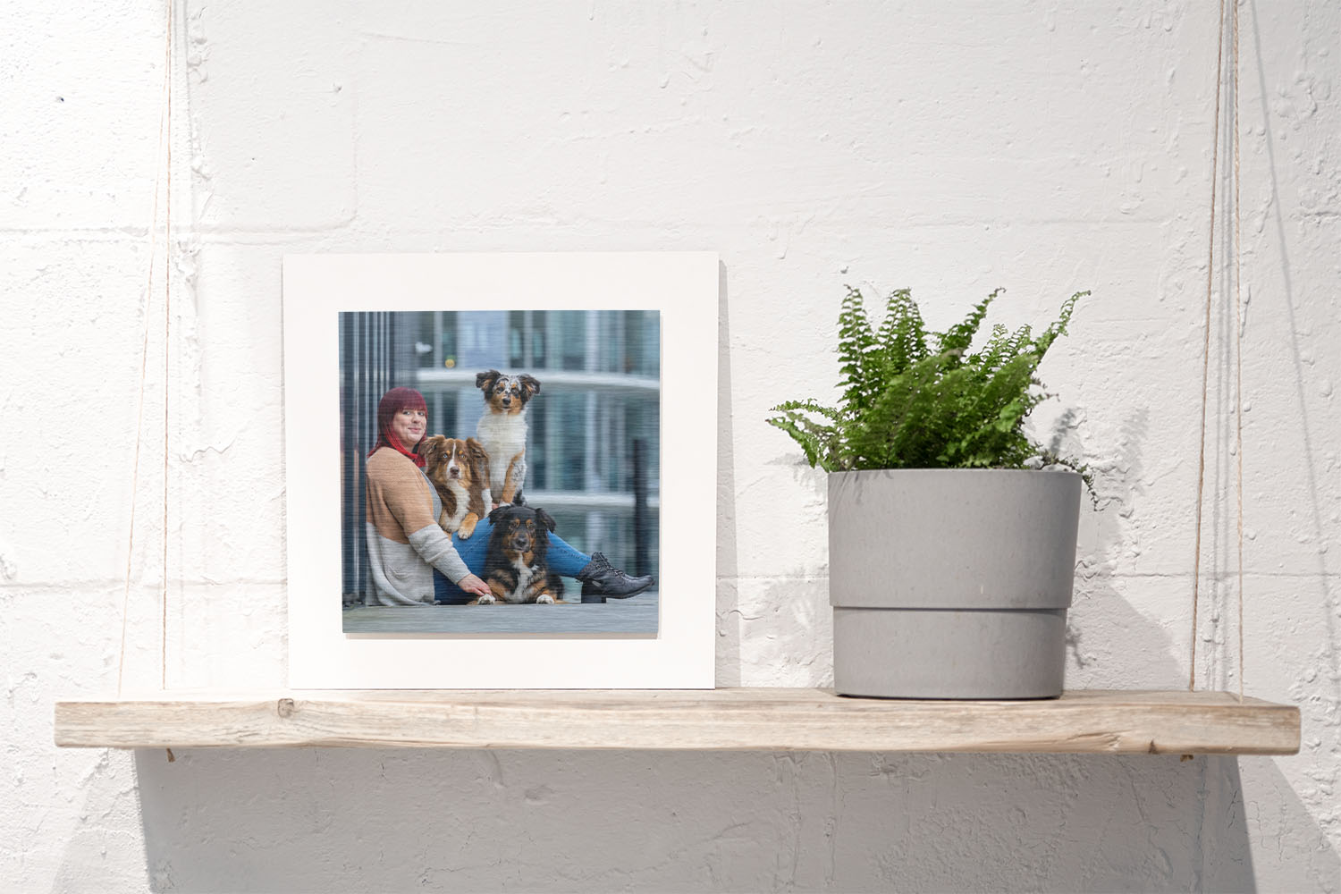 Aludibond_passepartout_besondere_Location_Hundefotografin_Aachen