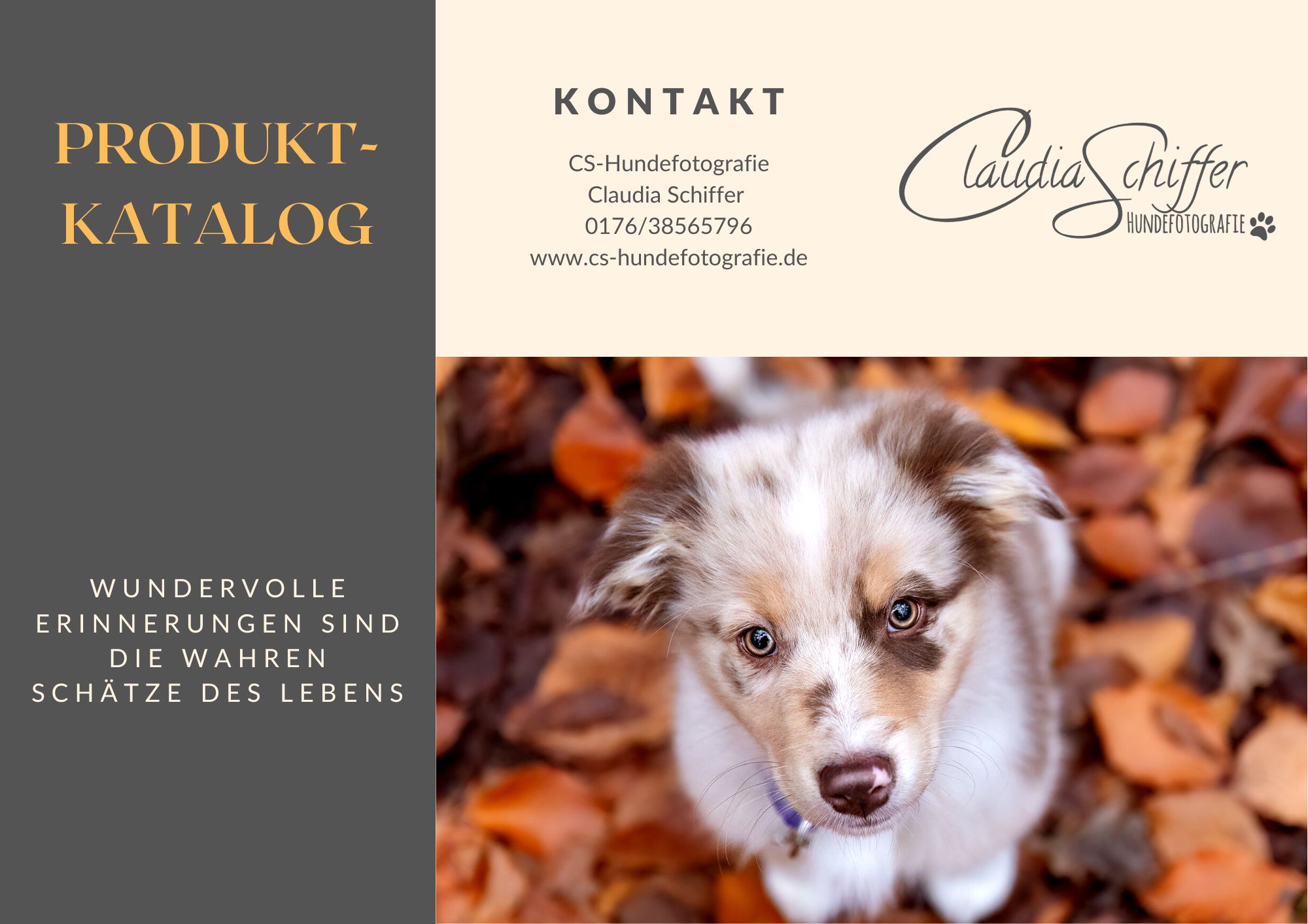 Produktkatalog_CS-Hundefotografie