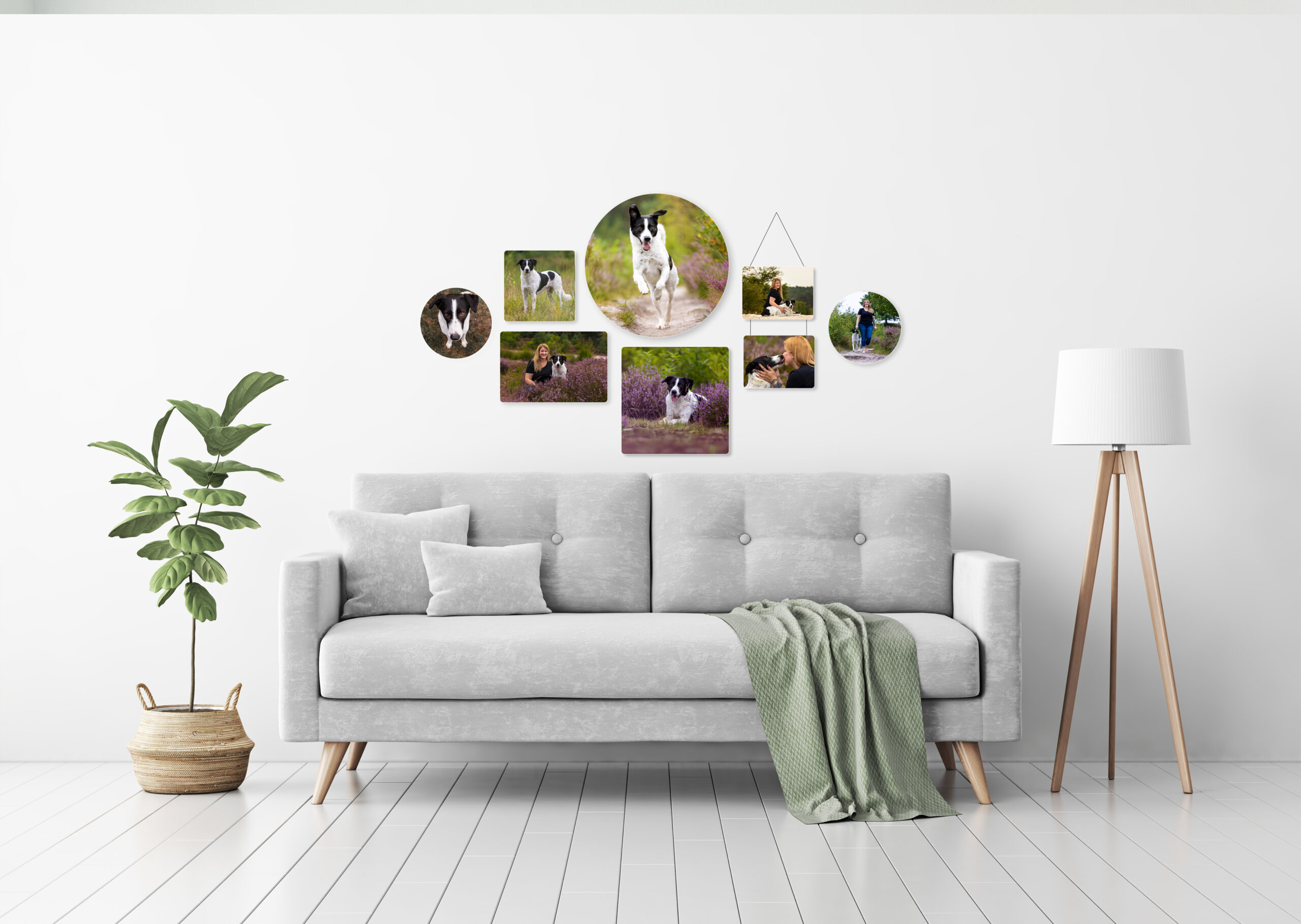 Fotoprodukt, Holzgalerie, Hundefotografin, Aachen