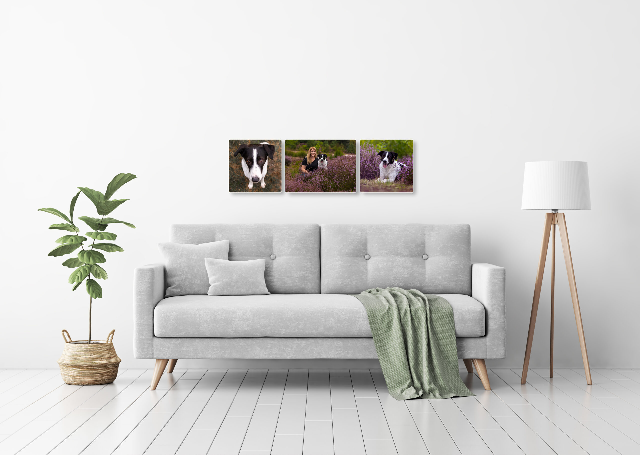 Fotoprodukt, Holzblöcke Hundefotografin, Aachen